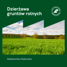 Dzierżawa gruntów rolnych